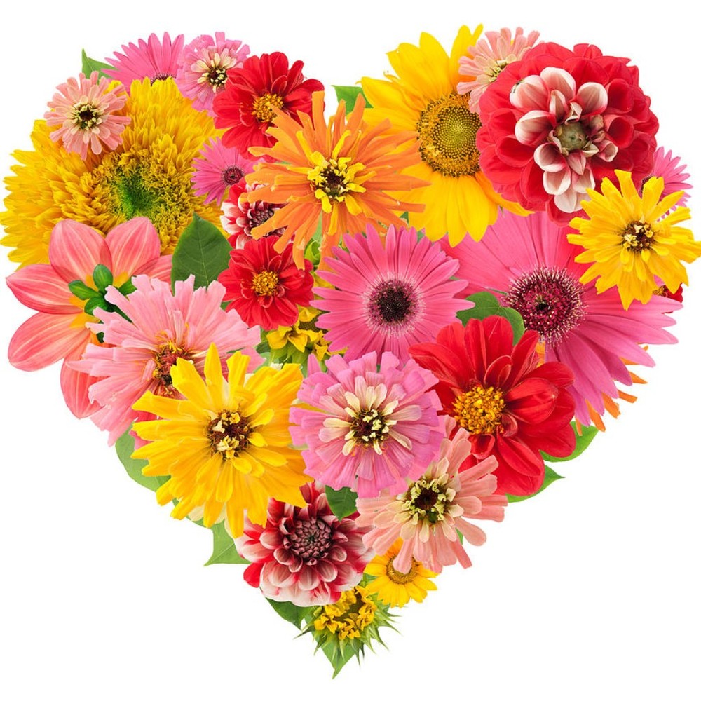 Meet your Posher, Denice